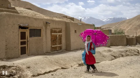 شصتمین سالگرد روز جهانی سوادآموزی: چالش‌ها و دستاوردها