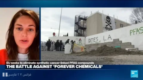 Helen Dougie: Weak enforcement of European Union regulations has led to the presence of hazardous chemicals in consumer products